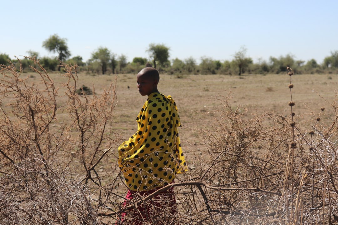 Field data collection, illustrative photograph for WFP DR Congo monitoring