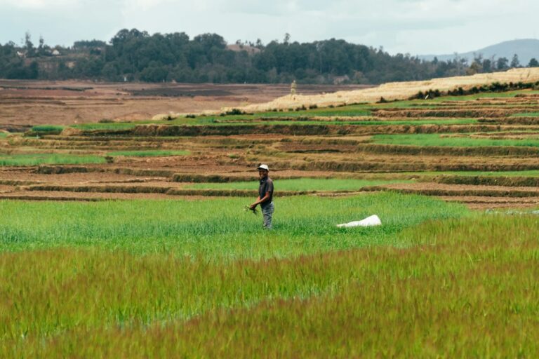 Read more about the article UNICEF Papua New Guinea Child Nutrition Partnership 2026: Drought-Responsive Nourishing Futures
